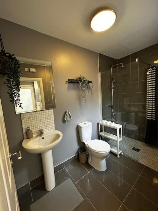 Vibrant City Centre Townhouse With Free Parking Rare Outdoor Patio Belfast Exteriér fotografie