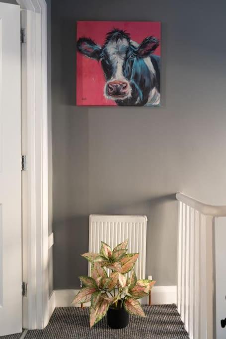 Vibrant City Centre Townhouse With Free Parking Rare Outdoor Patio Belfast Exteriér fotografie